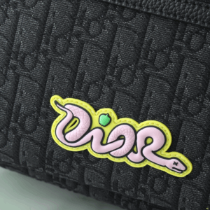 Dior And Kaws Rider 2.0 Zipped Backpack - RCD11