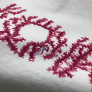 Dior Italic Coral Relaxed Fit T-Shirt In White - DRT03