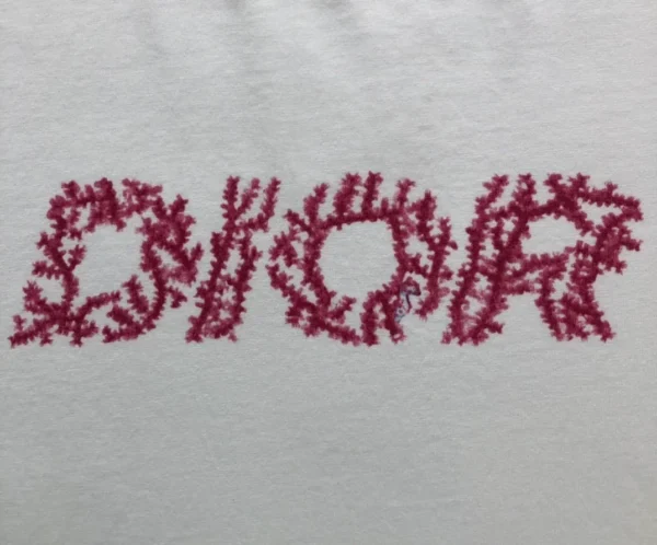 Dior Italic Coral Relaxed Fit T-Shirt In White - DRT03