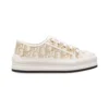 Dior Walk'n'Dior Platform Sneaker - RDS119