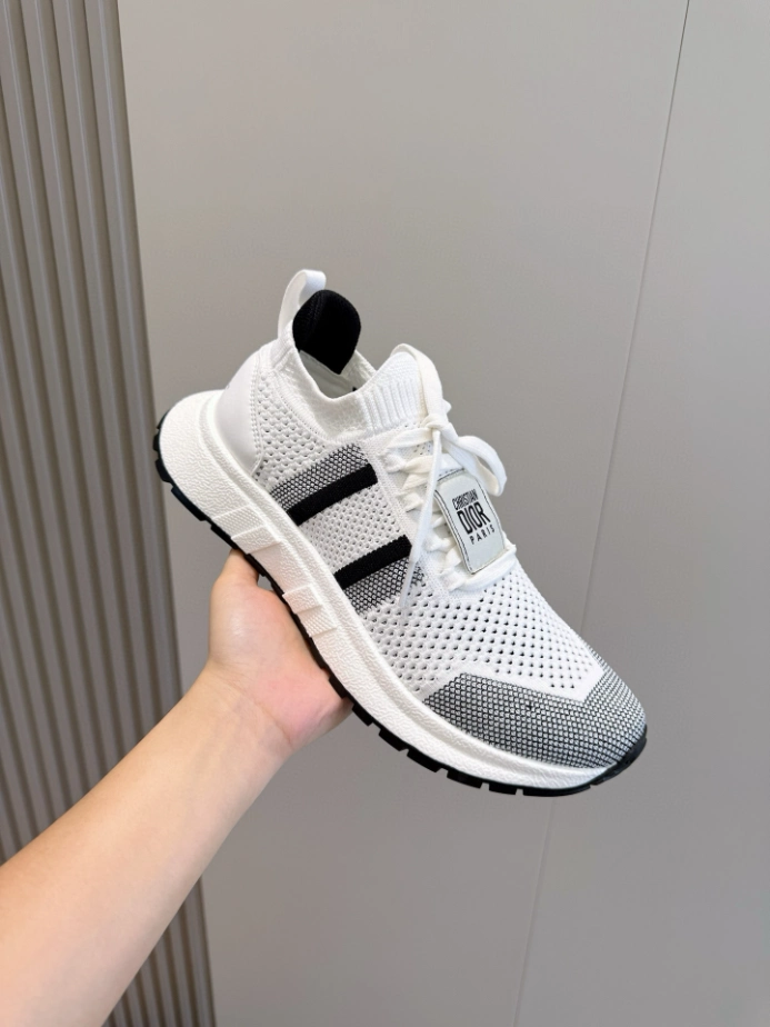 Run'n'Dior Sneaker Ecru Technical Mesh With Wool - RDS139