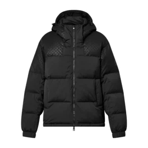 Louis Vuitton Down Blouson – LJ10