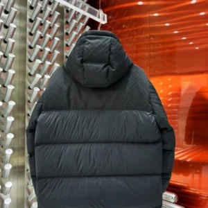 Louis Vuitton Down Blouson – LJ10