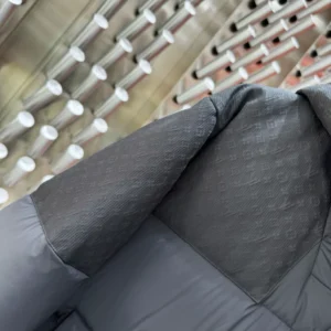 Louis Vuitton Down Blouson – LJ10
