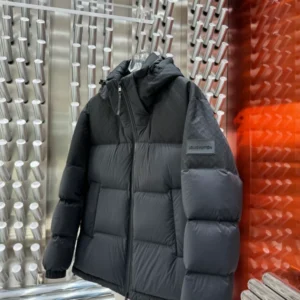 Louis Vuitton Down Blouson – LJ10