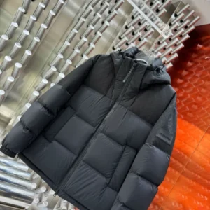 Louis Vuitton Down Blouson – LJ10