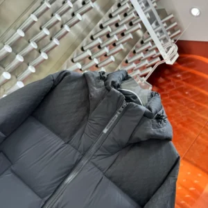 Louis Vuitton Down Blouson – LJ10