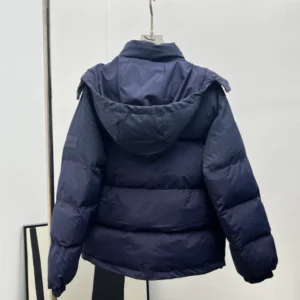 Louis Vuitton Down Blouson – LJ11