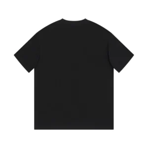 Dior T-Shirt - DRT15